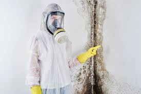 Mold Remediation for Rental Properties in East Point, GA